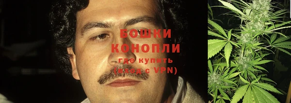 марки nbome Вяземский
